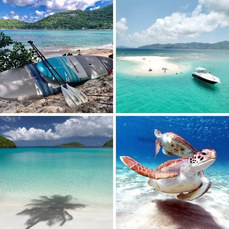 A collage of four pictures shows a surfboard a boat a turtle and a palm tree