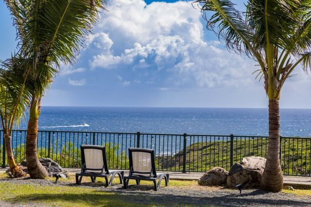 Two lounge chairs are sitting in front of palm trees overlooking the ocean.