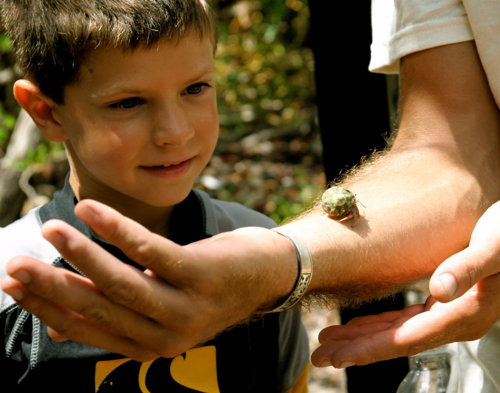 A young boy is holding a small bug on his arm