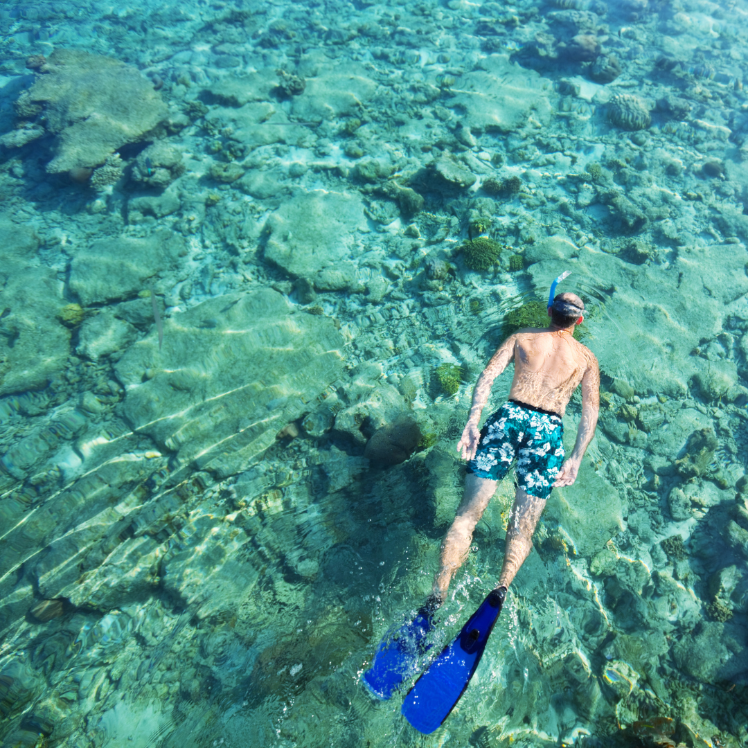 take a guided snorkel tour in the USVI