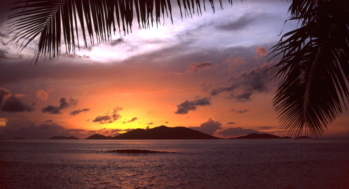 A sunset over the ocean with palm trees in the foreground