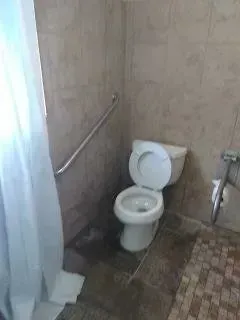 A bathroom with a toilet and a shower curtain.