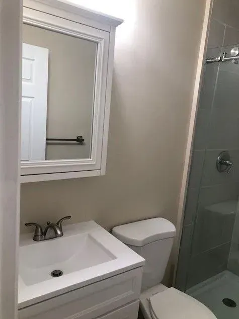 A bathroom with a sink , toilet , mirror and shower.