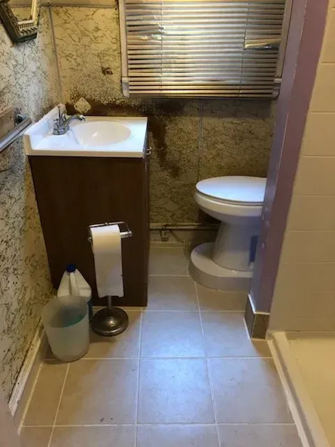 A bathroom with a sink , toilet and shower.