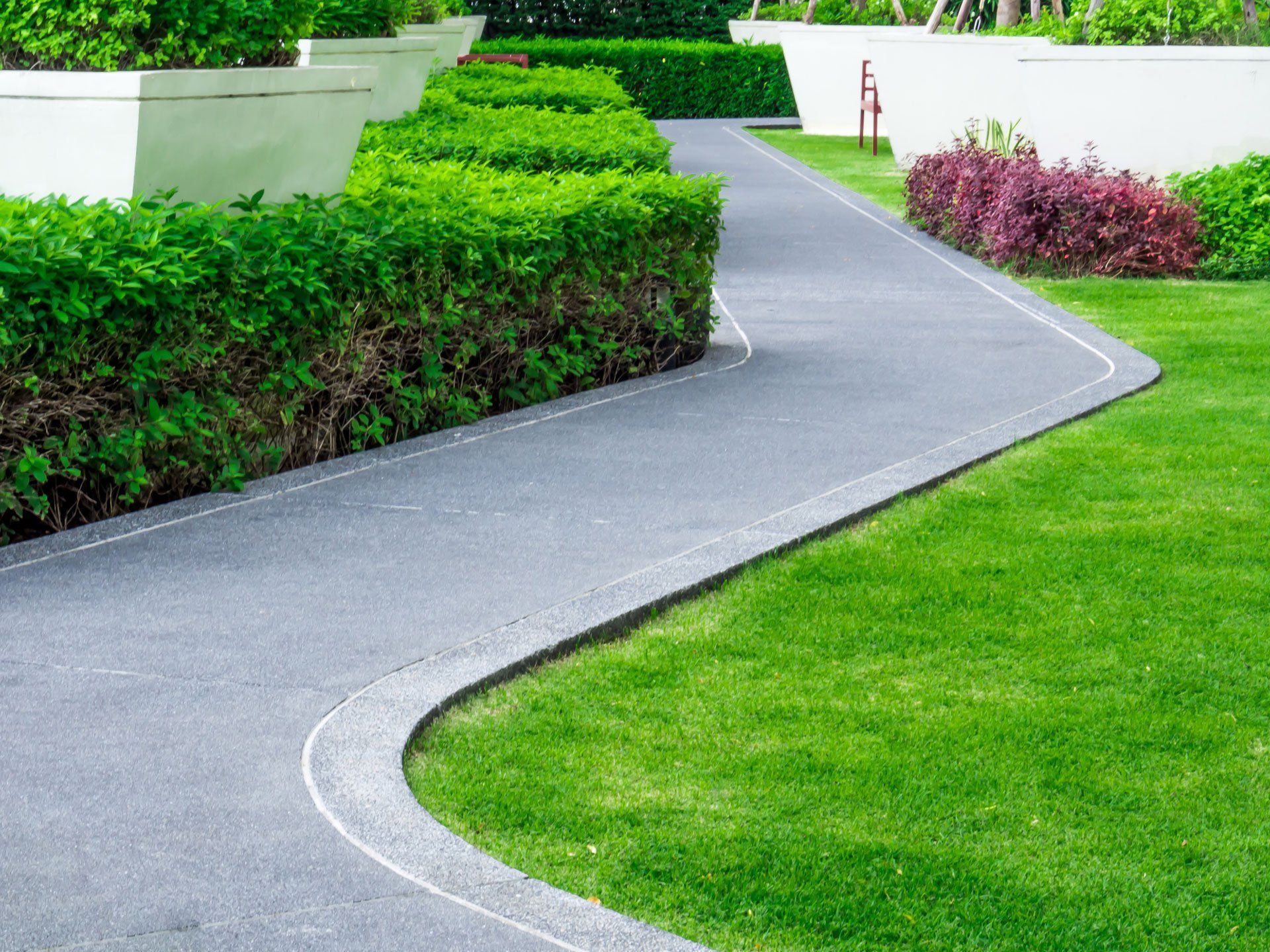 A curved driveway going through a lush green garden.