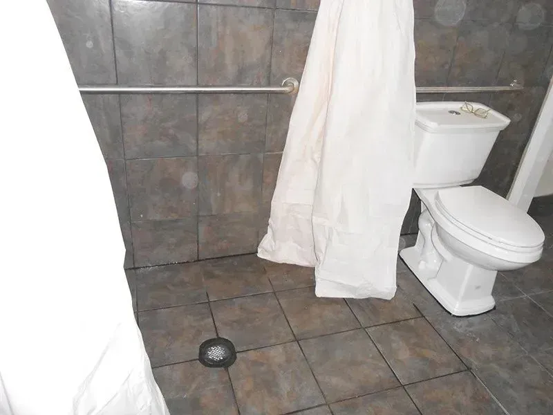 A bathroom with a toilet and a shower curtain