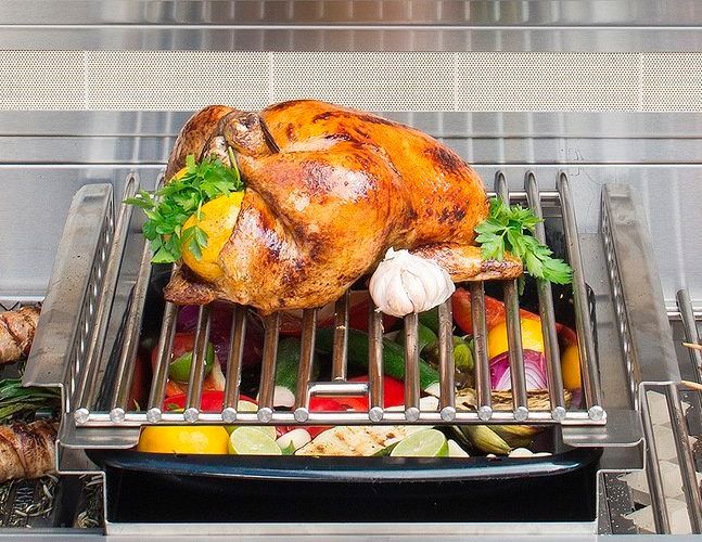 Alfresco Indirect Roasting Pod Grill Insert