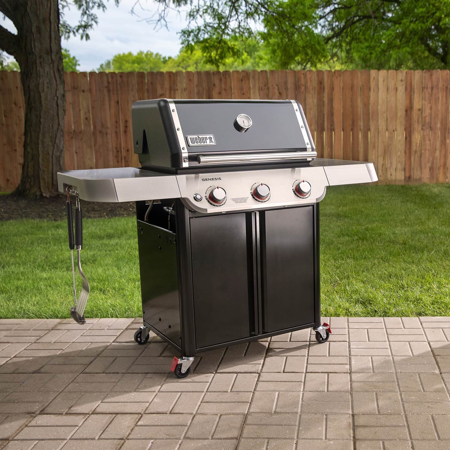 Weber Grills Summit Smart FS38x E-Gas Grill Liquid Propane
