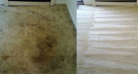 Carpet Cleaners in North Ayrshire