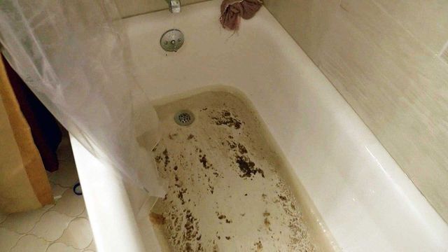 What To Do If Sewage Starts Backing Up Into the Shower