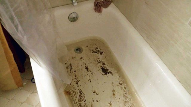 Why sewage is coming up through your bathtub