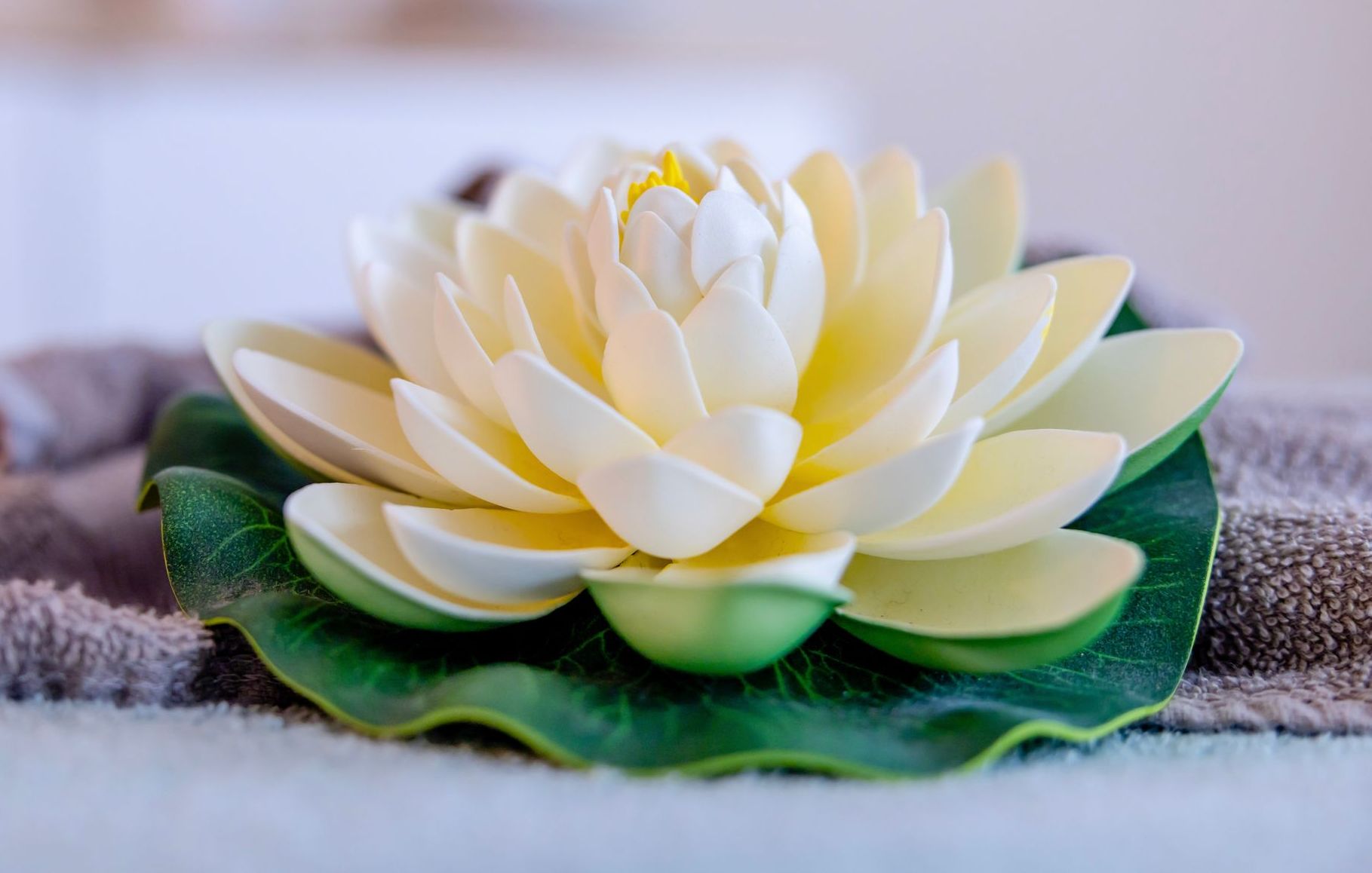 Zeit, die wir uns nehmen, ist die Zeit, die uns etwas gibt.