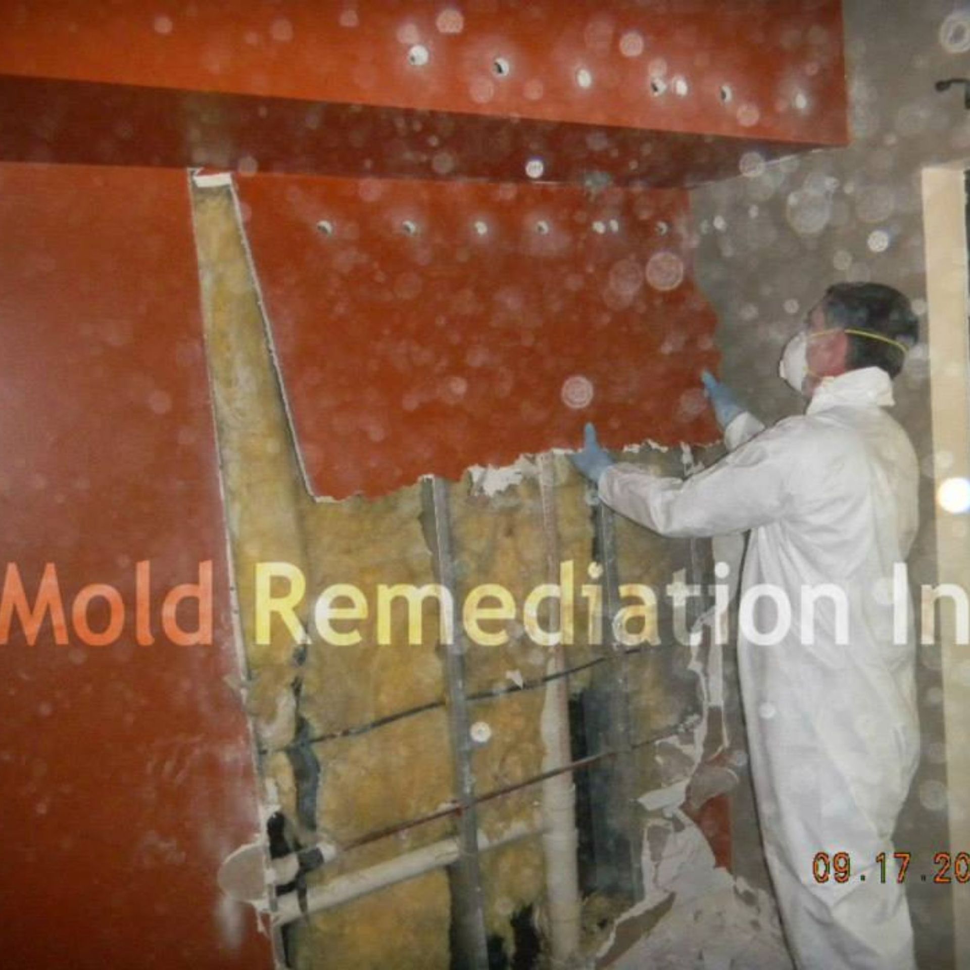 Mold Remediation Inc -A man standing in front of a wall with the words mold remediation in the corner