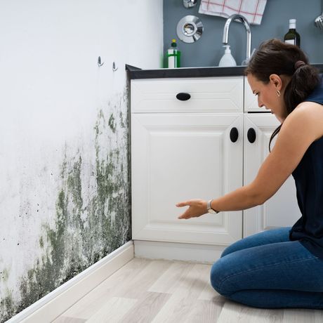 Mold Remediation Inc -A woman is kneeling down in front of a mouldy wall