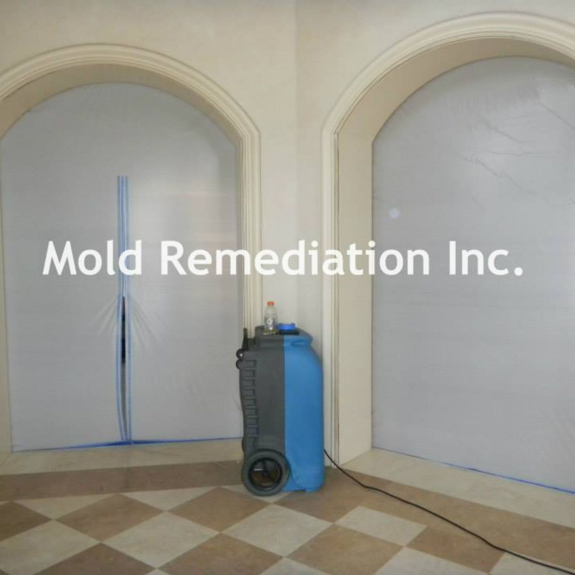Mold Remediation Inc -A mold remediation inc. logo is on a wall
