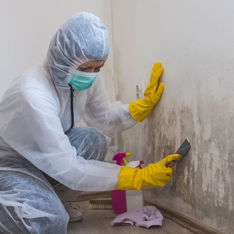 Mold Remediation Inc -A person in a protective suit is cleaning a wall with a spatula.