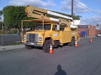 Tuck Tree — HOA Tree Trimming in Los Angeles, CA