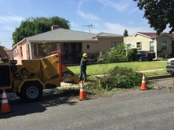 Grinding Up Tree Trimmings — Stump Grinding in Los Angeles, CA