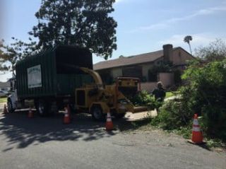 Brush Chipping — Tree Removal in Los Angeles, CA
