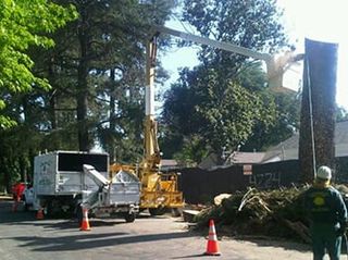 Crane Service — Stump Grinding in Los Angeles, CA