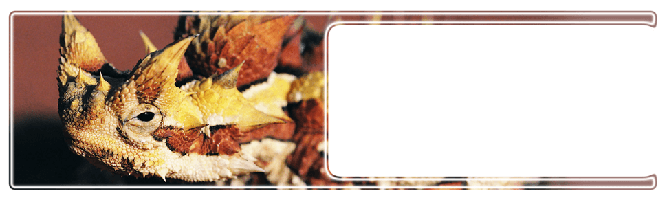Worm-Farm---Rotherham,-UK---Wazp-Brand-UK-Ltd---Distributors Worm-Farm---Rotherham,-UK---Wazp-Brand-UK-Ltd---Distributors