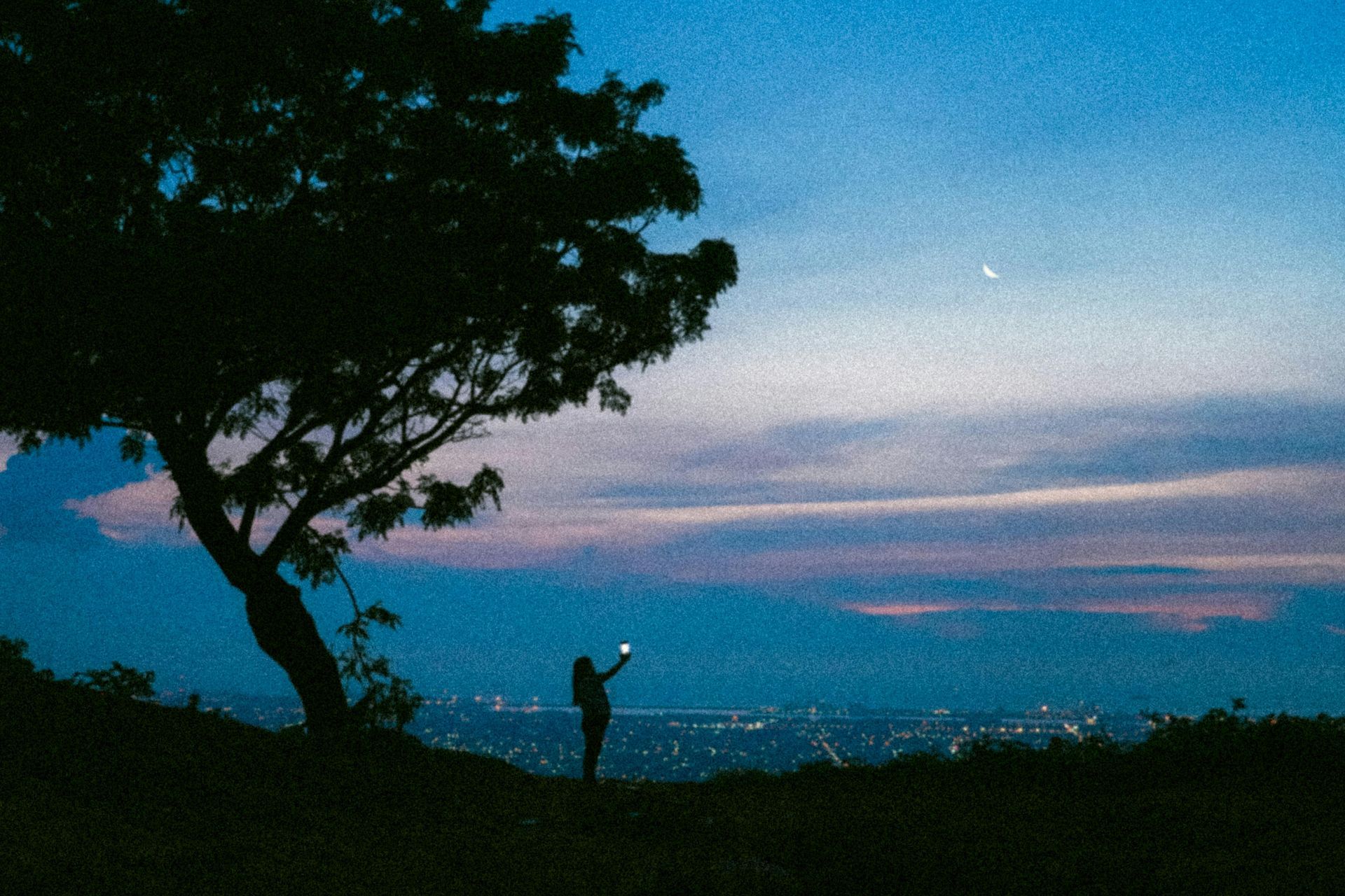 A silhouette of a person standing under a tree at night