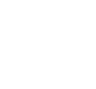 Lienzo blanco vacío.