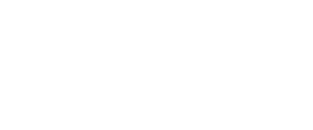 Verified Consulting Solutions Logo