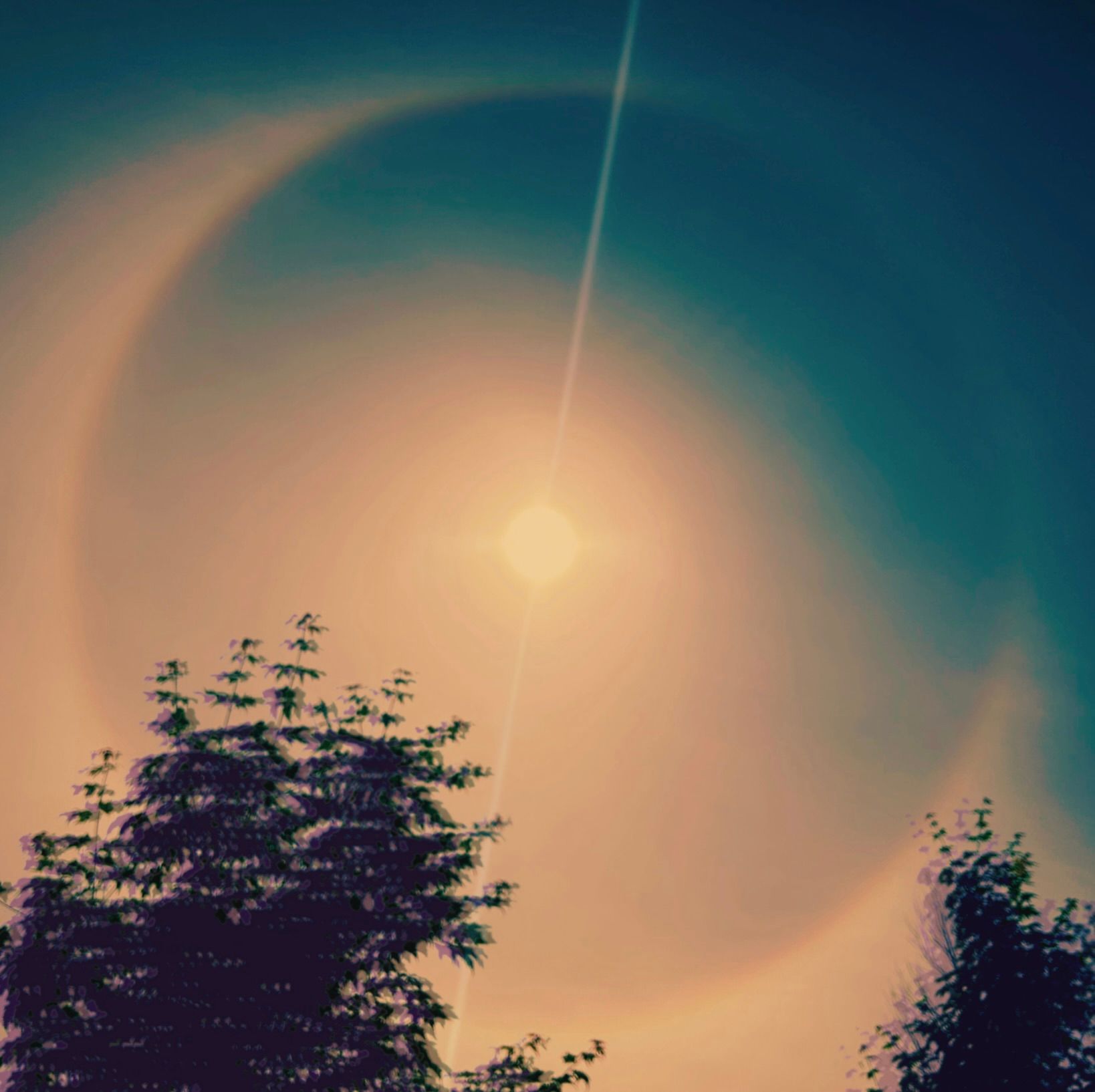 Sun halo in a teal and orange sky, with silhouetted trees at the bottom.
