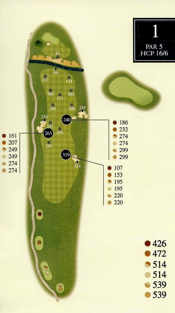 Golf hole map. Long, green fairway with yardage markers, a small green, and a pond.