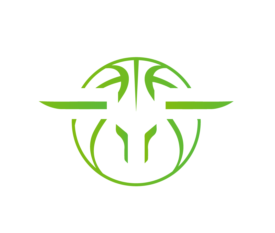 Nova Bulls Organization