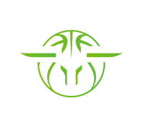 Nova Bulls Organization