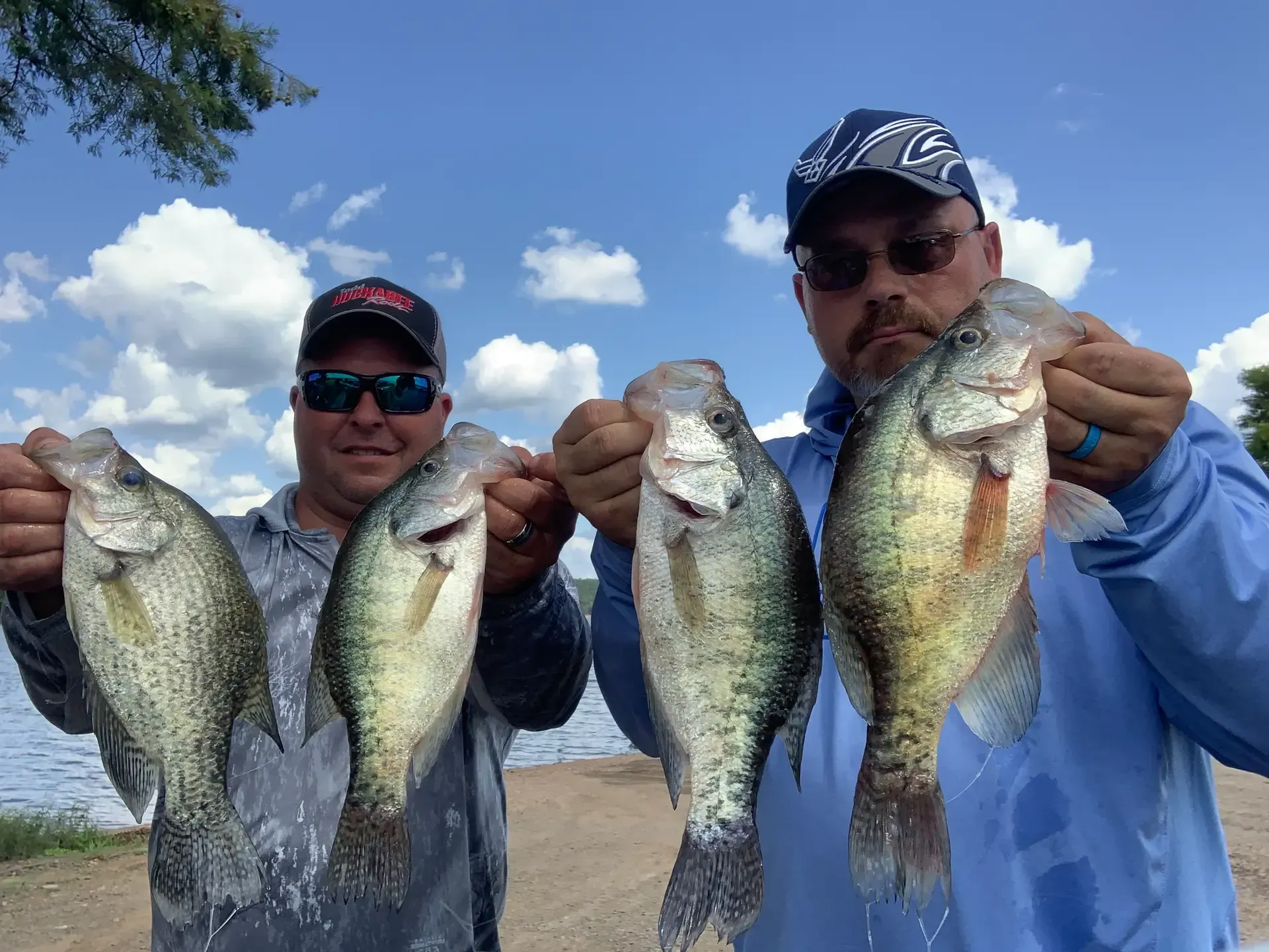 Two men are holding four fish in their hands.