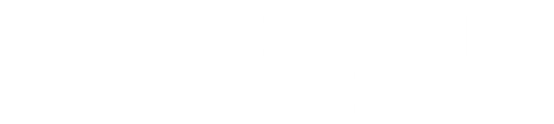 Executive Protection