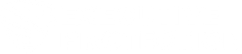 Executive Protection