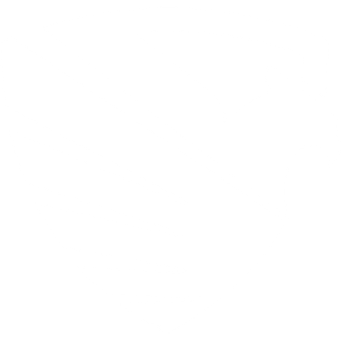 Executive Protection