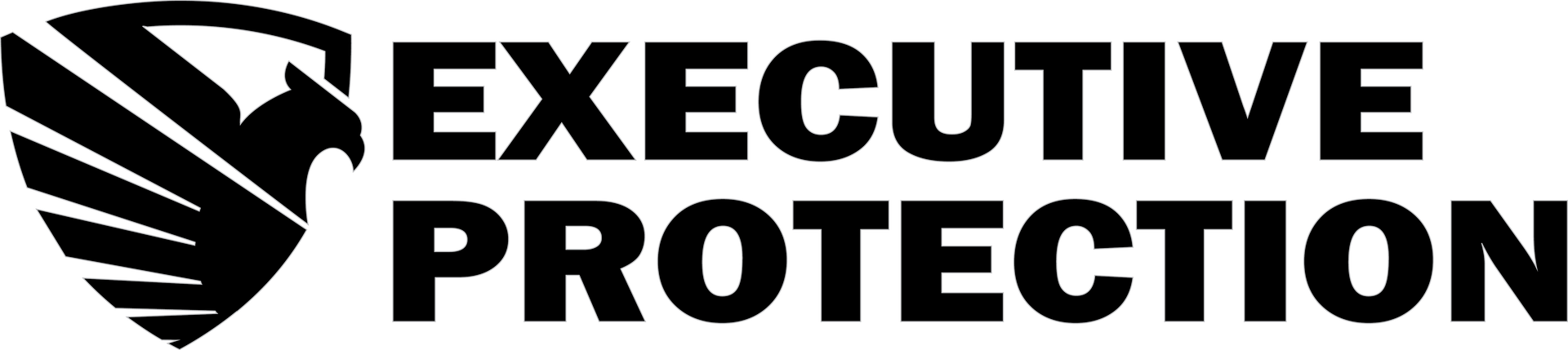 Executive Protection