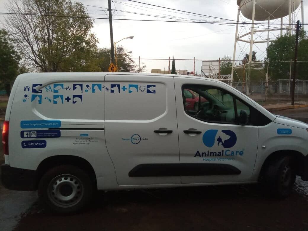 ANUNCIOS LUMINOSOS DE AGUASCALIENTES - ROTULACIÓN DE VEHÍCULO