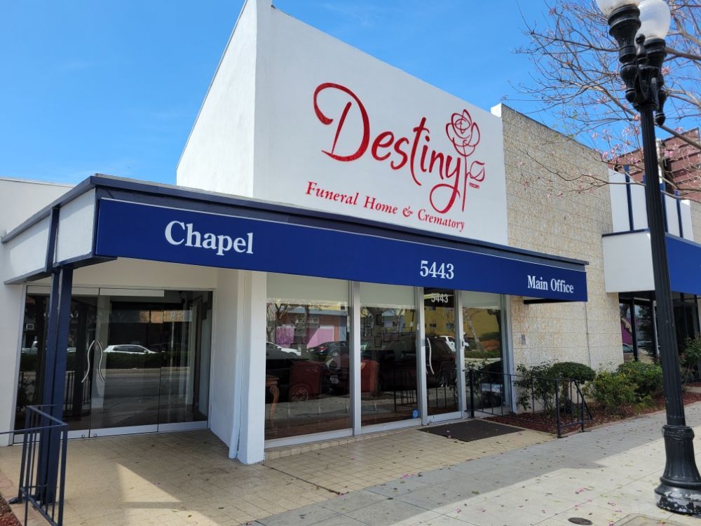 A beach with palm trees and a pier at sunset.