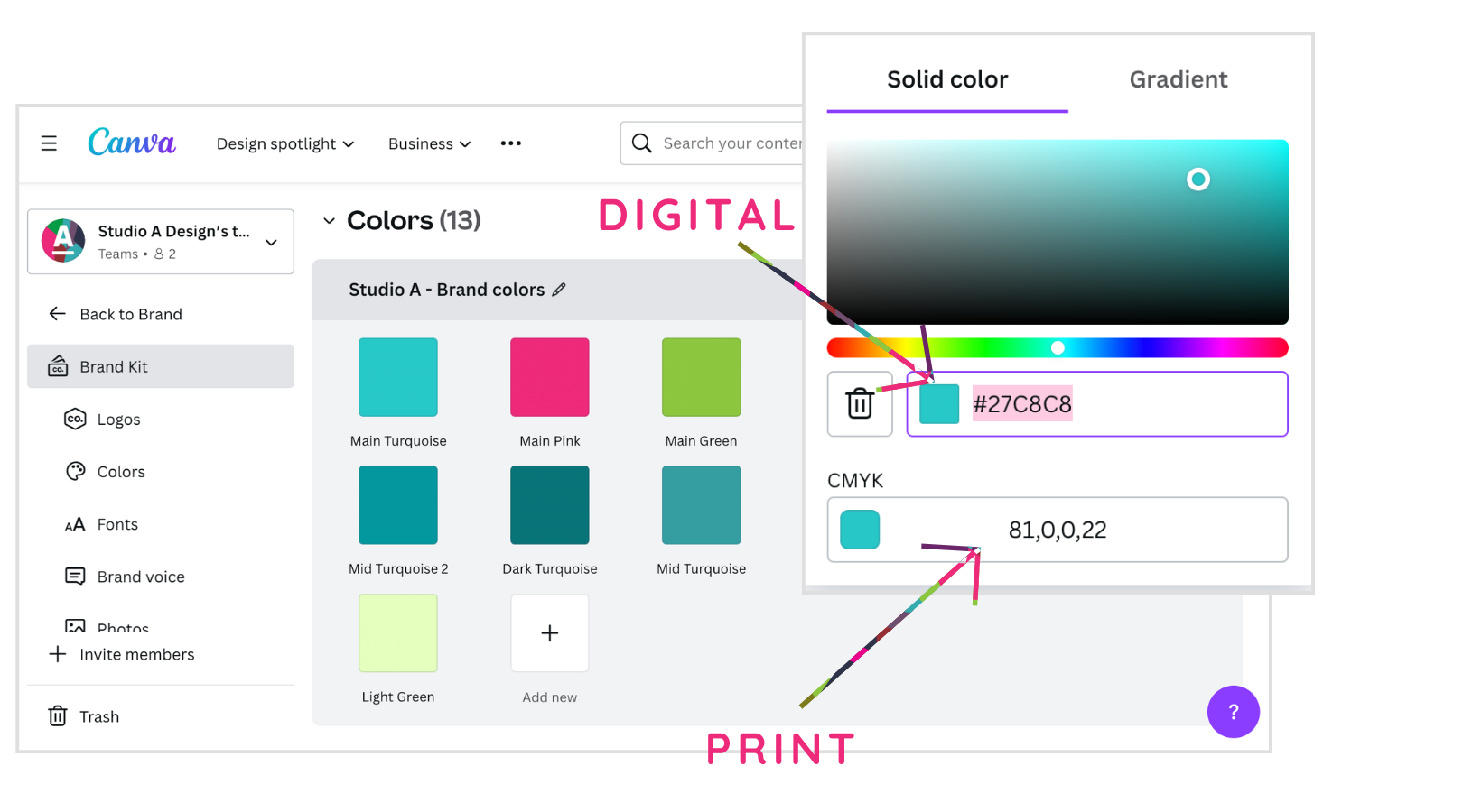 A screenshot of canva showing how to choose a color and print it.