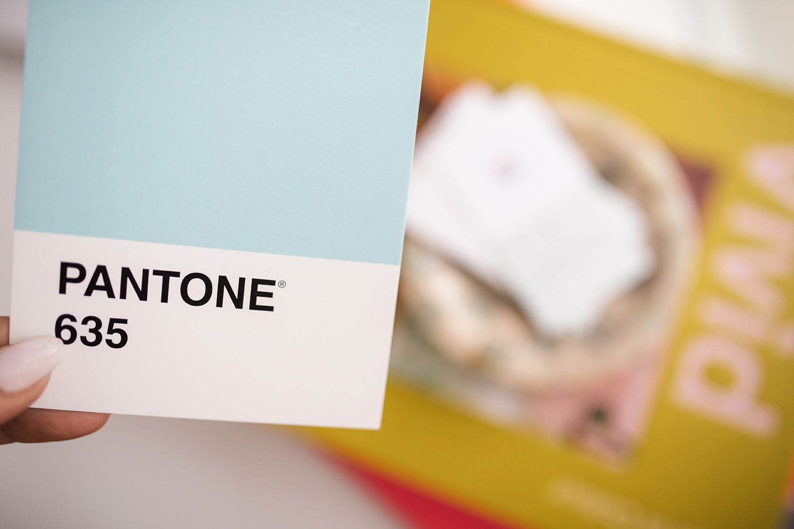 A person is holding a card that says pantone on it
