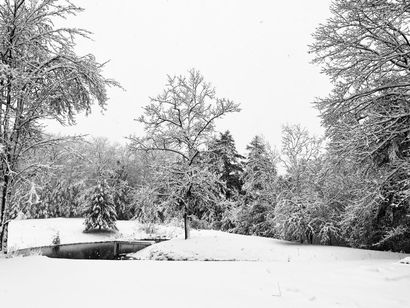 Snowy Landscape with Trees and Pond