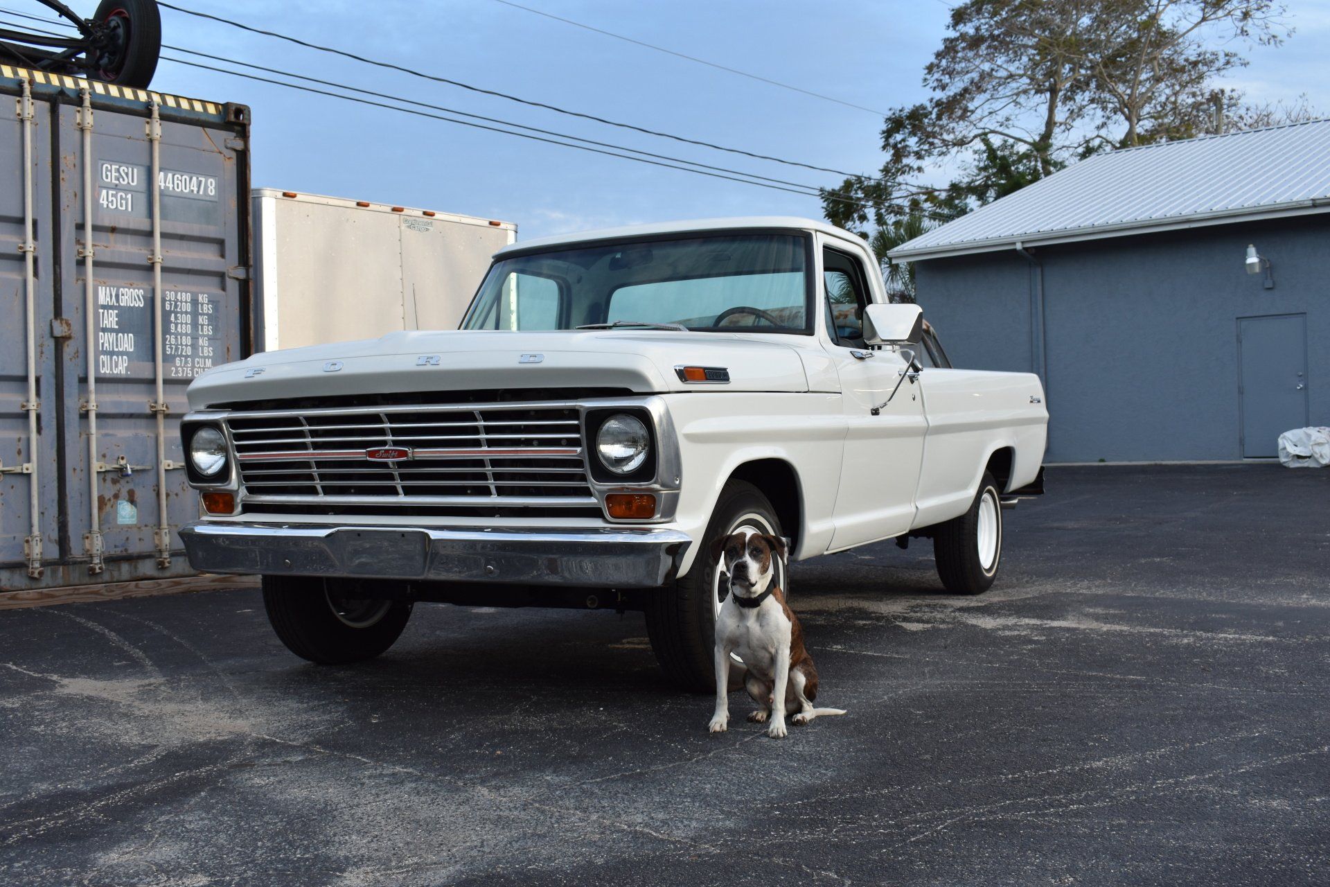 White vintage pickup truck parked on asphalt with a dog standing in front, near a gray building and shipping container