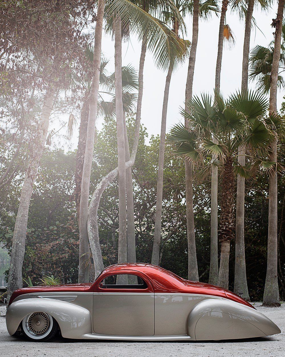 Low red-and-silver custom car parked among tall palm trees