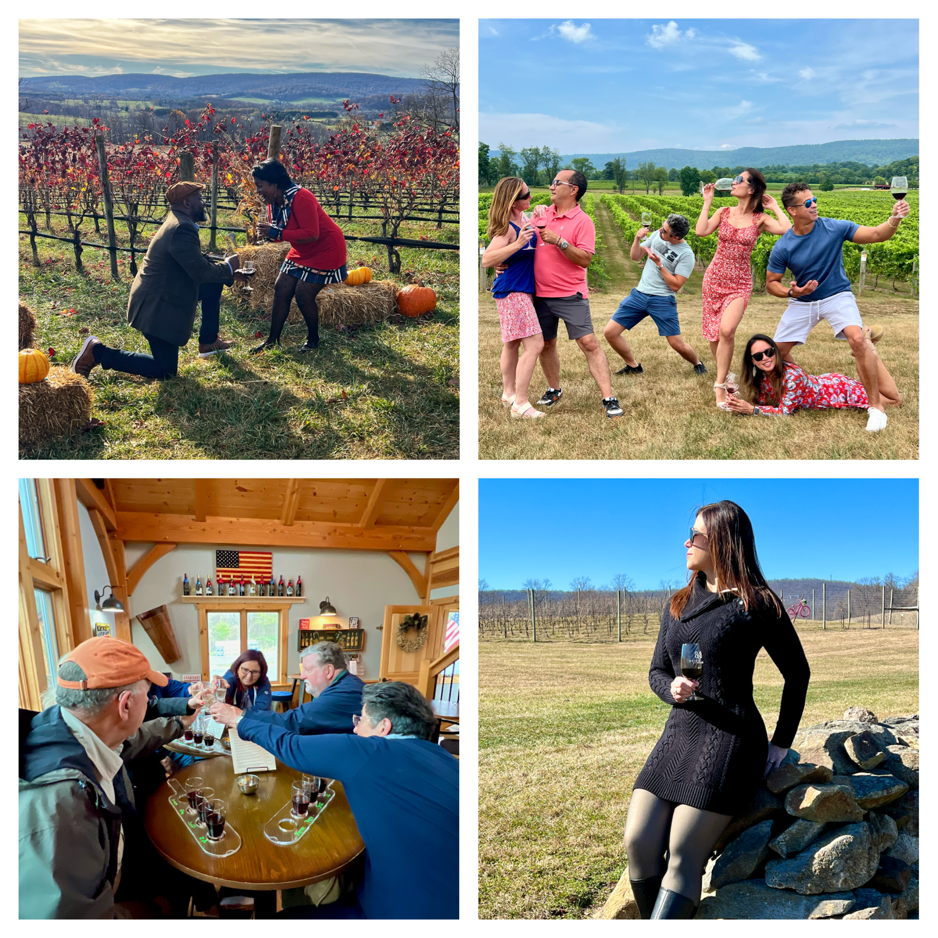 Winery & Brewery Tours