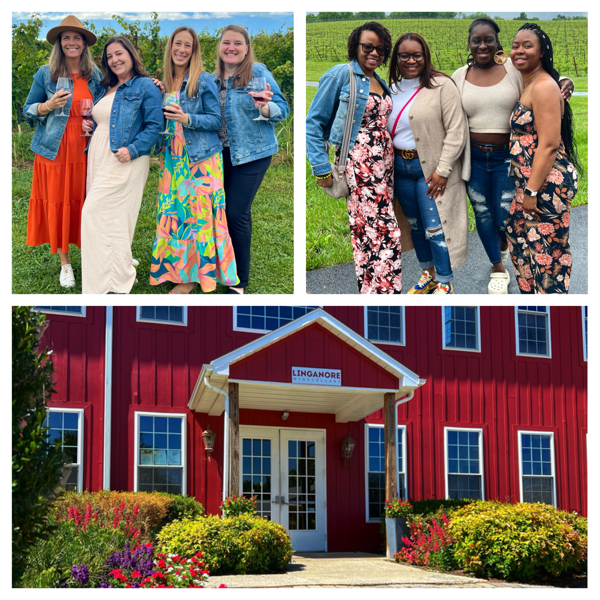 Winery & Brewery Tours