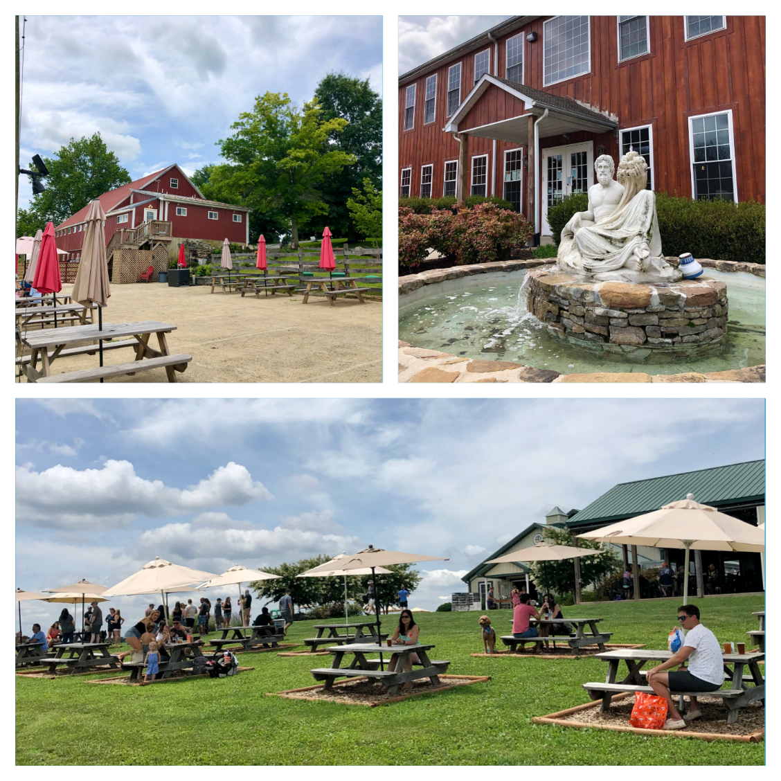 Winery & Brewery Tours