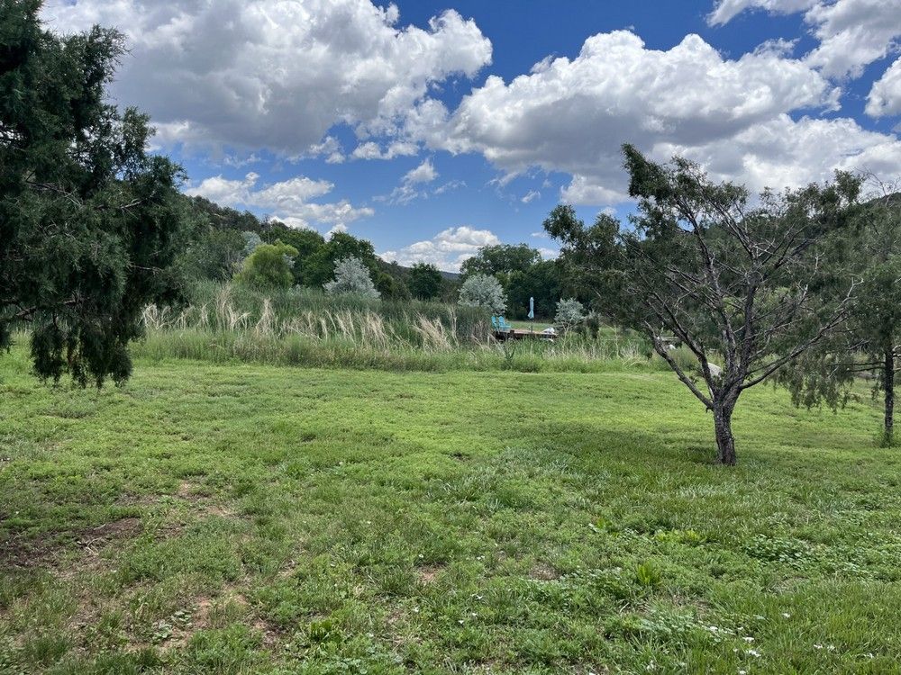 Grassy field with trees under a blue sky dotted with white clouds.