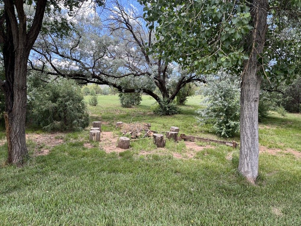 Grassy clearing with several wooden stumps, surrounded by trees. Blue sky visible.