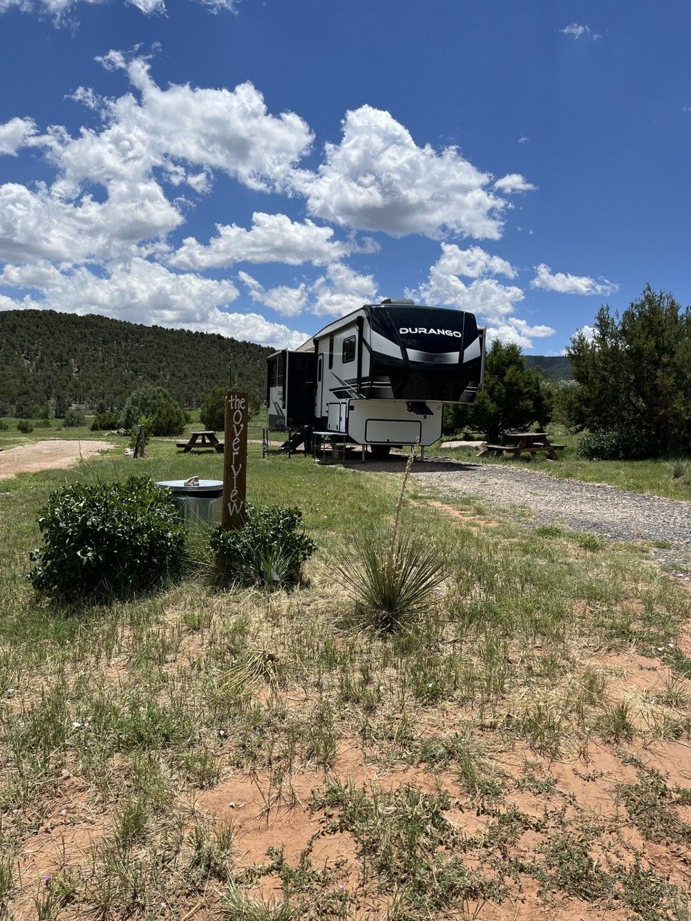 RV parked in a grassy campsite with picnic tables, surrounded by trees and a mountain on a sunny day.